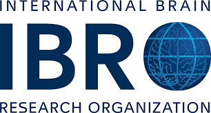 IBRO logo